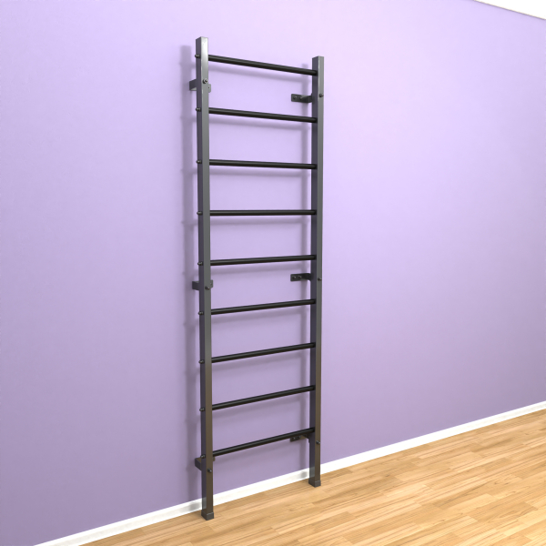 картинка Шведская стенка "LittleSport" (черный*черный) от магазина Лазалка