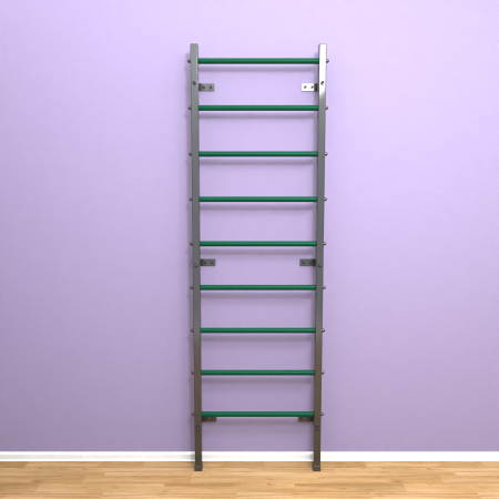 картинка Шведская стенка "LittleSport" (черный*зеленый) от магазина Лазалка